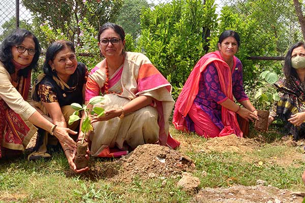 Tree Plantation | Best Schools in Gandhinagar